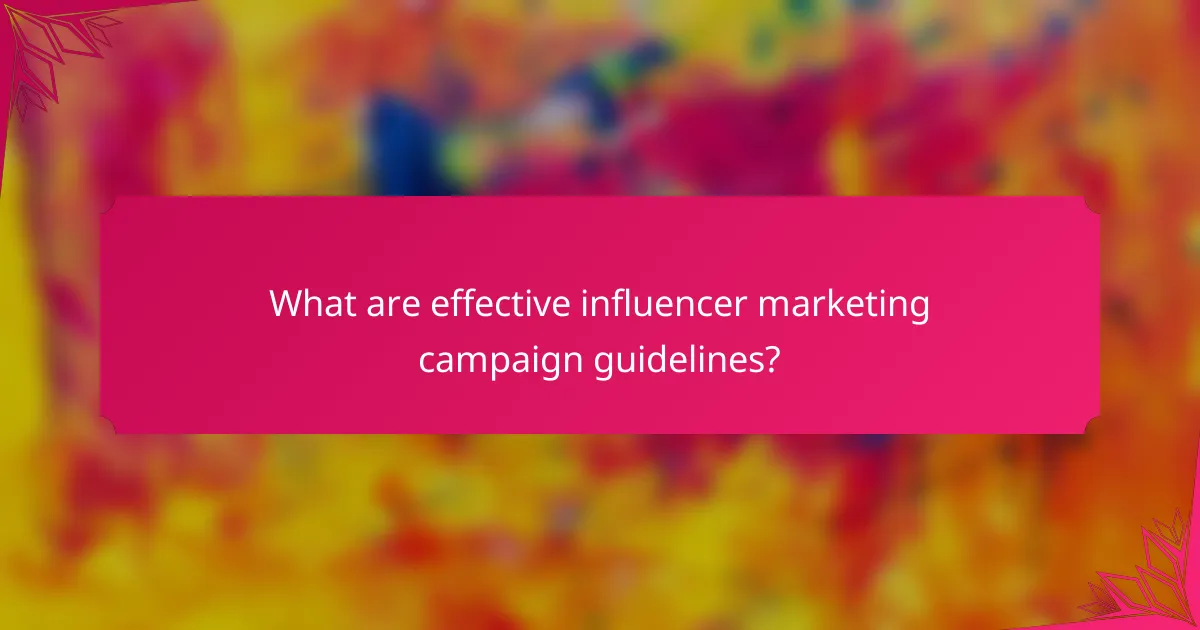 What are effective influencer marketing campaign guidelines?