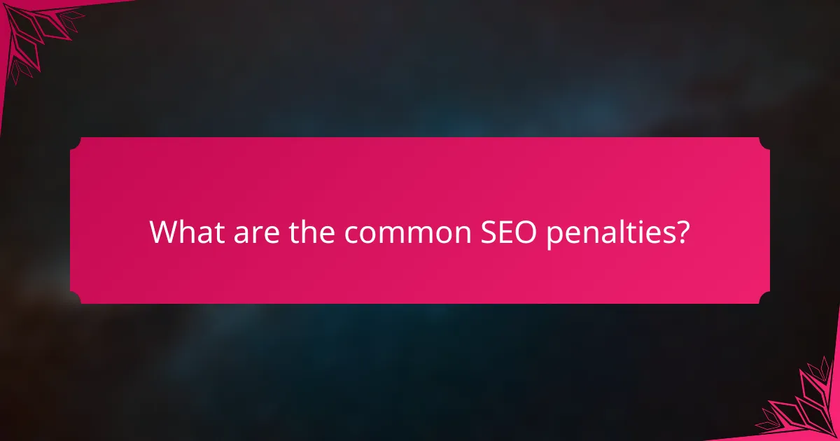 What are the common SEO penalties?